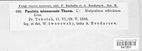 Image Associated With the Occurrence